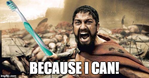 Leonidas Toothbrush | BECAUSE I CAN! | image tagged in leonidas toothbrush | made w/ Imgflip meme maker
