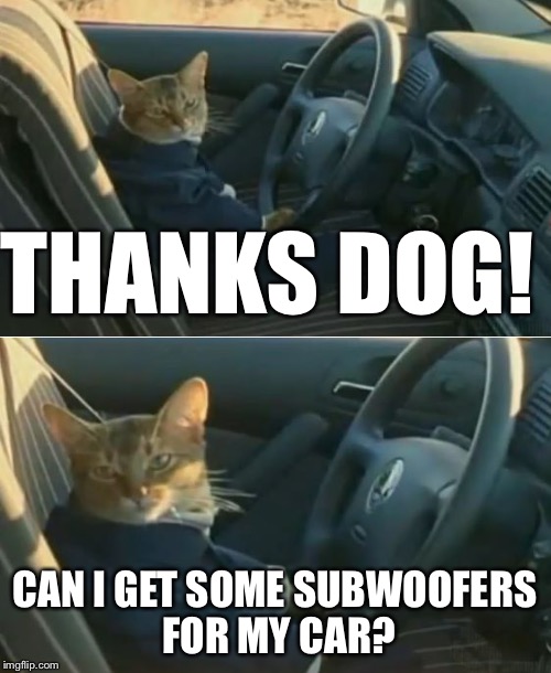 Boat Cat in Car | THANKS DOG! CAN I GET SOME SUBWOOFERS FOR MY CAR? | image tagged in boat cat in car | made w/ Imgflip meme maker