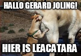 HALLO GERARD JOLING! HIER IS LEACATARA | made w/ Imgflip meme maker