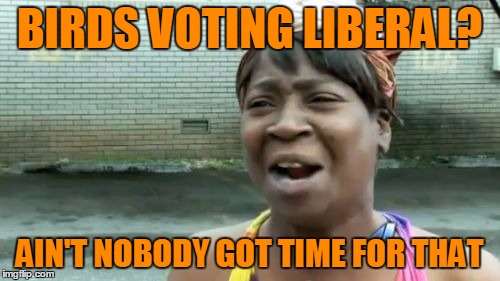 Ain't Nobody Got Time For That Meme | BIRDS VOTING LIBERAL? AIN'T NOBODY GOT TIME FOR THAT | image tagged in memes,aint nobody got time for that | made w/ Imgflip meme maker