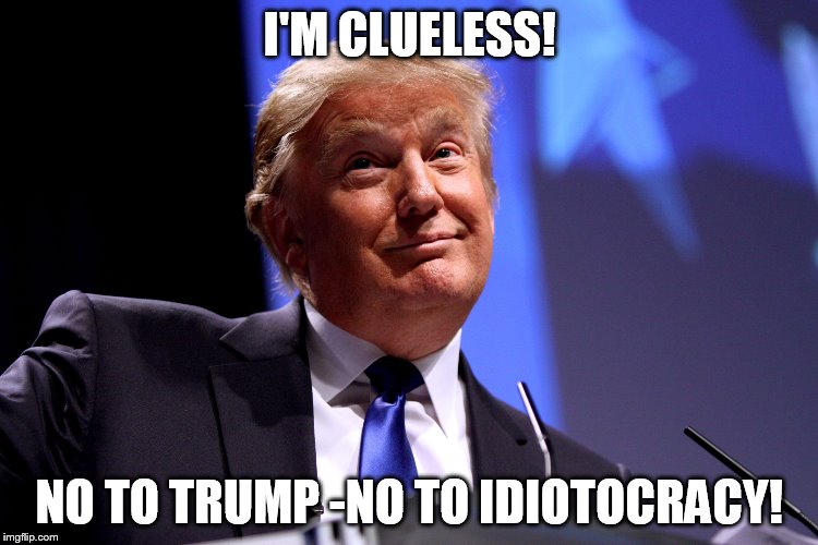 Idiot Trump | I'M CLUELESS! NO TO TRUMP
-NO TO IDIOTOCRACY! | image tagged in donald trump no2 | made w/ Imgflip meme maker