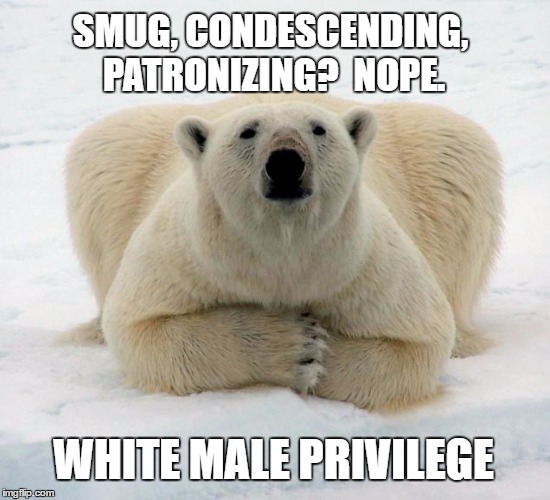 Polar Privilege | SMUG, CONDESCENDING, PATRONIZING?  NOPE. WHITE MALE PRIVILEGE | image tagged in memes white male privilege,polar bear,white guy,male privilege | made w/ Imgflip meme maker