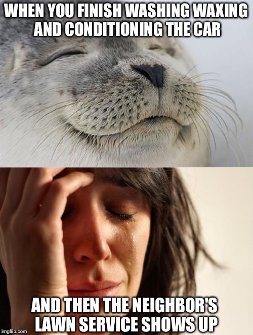 Okely Dokely | WHEN YOU FINISH WASHING WAXING AND CONDITIONING THE CAR; AND THEN THE NEIGHBOR'S LAWN SERVICE SHOWS UP | image tagged in first world problems,satisfied seal,awkward moment sealion,memes,funny | made w/ Imgflip meme maker