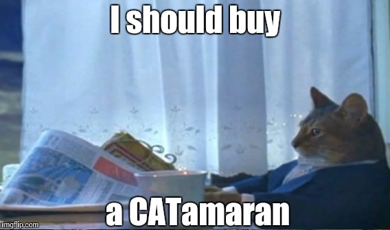 I should buy a CATamaran | made w/ Imgflip meme maker
