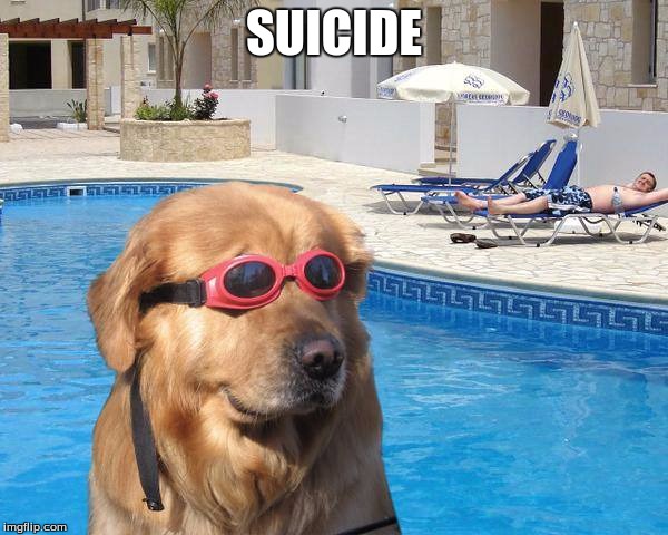 doggo | SUICIDE | image tagged in doggo | made w/ Imgflip meme maker