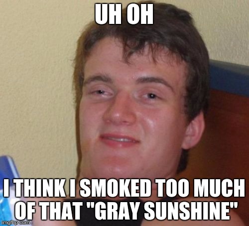 10 Guy Meme | UH OH I THINK I SMOKED TOO MUCH OF THAT "GRAY SUNSHINE" | image tagged in memes,10 guy | made w/ Imgflip meme maker