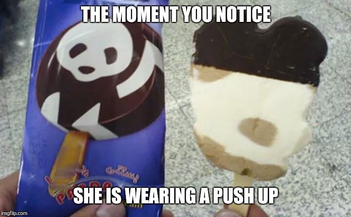 THE MOMENT YOU NOTICE; SHE IS WEARING A PUSH UP | image tagged in ice,ice cream,panda,push up,push-up | made w/ Imgflip meme maker