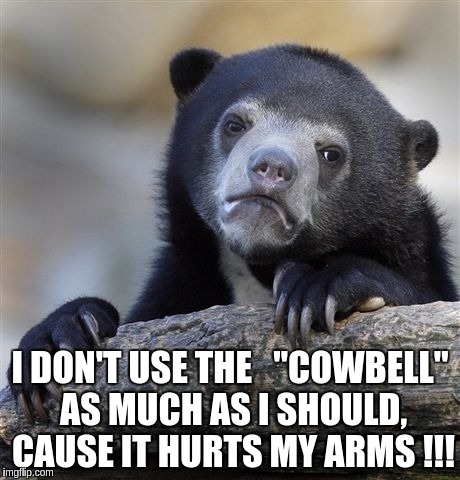 Confession Bear Meme | I DON'T USE THE   "COWBELL" AS MUCH AS I SHOULD, CAUSE IT HURTS MY ARMS !!! | image tagged in memes,confession bear | made w/ Imgflip meme maker