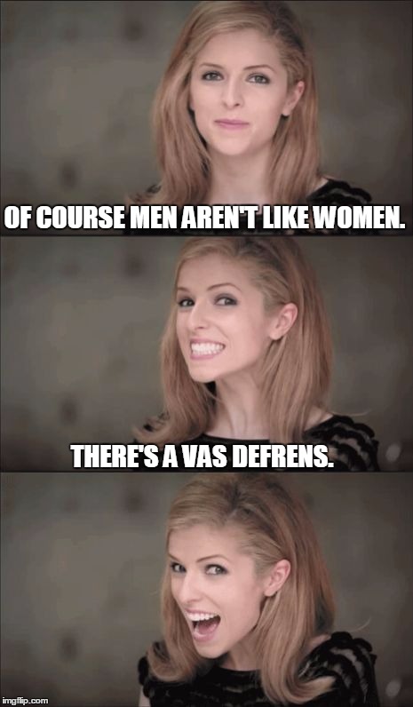 Bad Pun Anna Kendrick | OF COURSE MEN AREN'T LIKE WOMEN. THERE'S A VAS DEFRENS. | image tagged in memes,bad pun anna kendrick | made w/ Imgflip meme maker