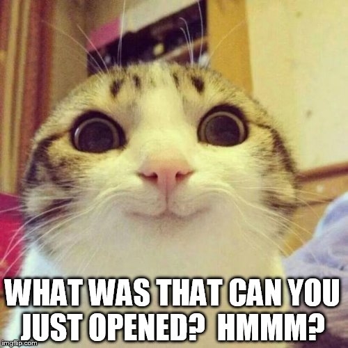 The inspector has arrived!  | WHAT WAS THAT CAN YOU JUST OPENED?  HMMM? | image tagged in memes,smiling cat | made w/ Imgflip meme maker