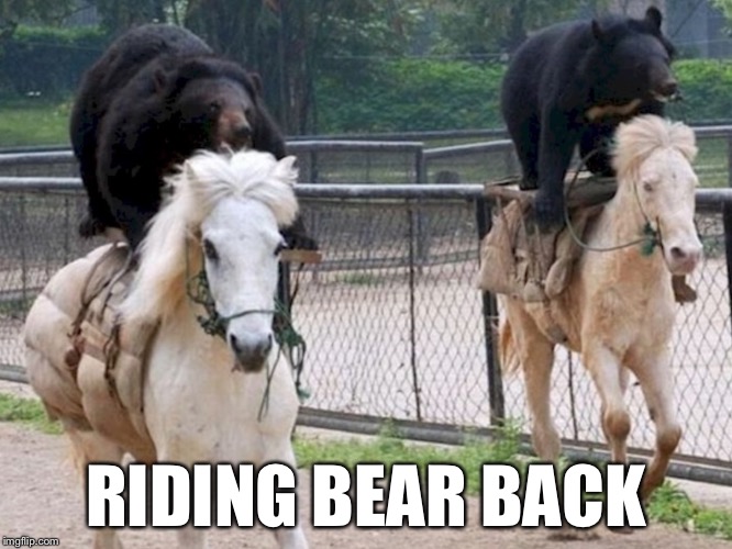 Faster Boo Boo!  Ranger Smith Is Pissed! | RIDING BEAR BACK | image tagged in bears riding horses | made w/ Imgflip meme maker