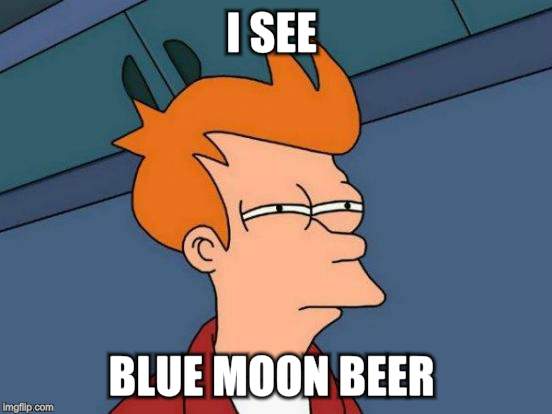 Futurama Fry Meme | I SEE BLUE MOON BEER | image tagged in memes,futurama fry | made w/ Imgflip meme maker