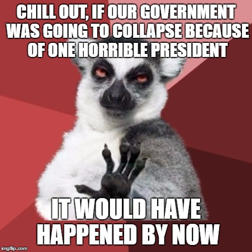 Chill out about the election, no one needs to move to Canada yet | CHILL OUT, IF OUR GOVERNMENT WAS GOING TO COLLAPSE BECAUSE OF ONE HORRIBLE PRESIDENT; IT WOULD HAVE HAPPENED BY NOW | image tagged in memes,chill out lemur | made w/ Imgflip meme maker