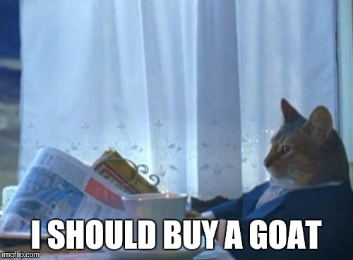 I Should Buy A Boat Cat | I SHOULD BUY A GOAT | image tagged in memes,i should buy a boat cat | made w/ Imgflip meme maker