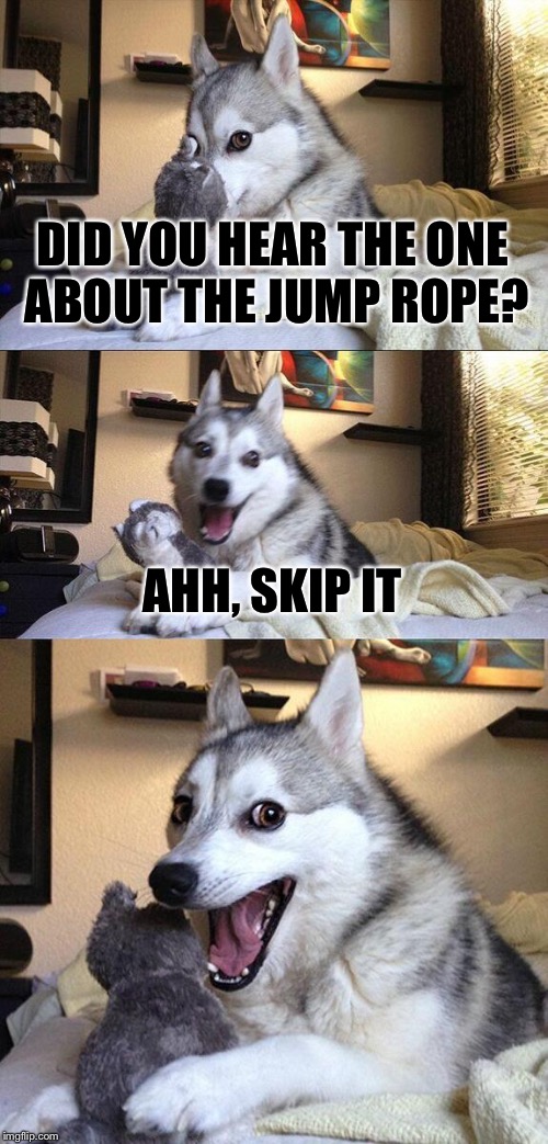 Da da da, da dada, da da da, guess who's back, back again, noXus's back, making memes again | DID YOU HEAR THE ONE ABOUT THE JUMP ROPE? AHH, SKIP IT | image tagged in memes,bad pun dog | made w/ Imgflip meme maker