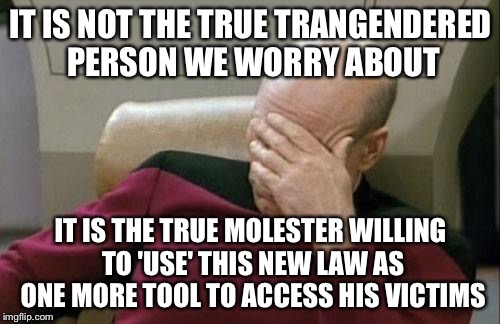 Captain Picard Facepalm Meme | IT IS NOT THE TRUE TRANGENDERED PERSON WE WORRY ABOUT IT IS THE TRUE MOLESTER WILLING TO 'USE' THIS NEW LAW AS ONE MORE TOOL TO ACCESS HIS V | image tagged in memes,captain picard facepalm | made w/ Imgflip meme maker