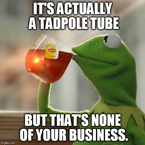 But That's None Of My Business Meme | IT'S ACTUALLY A TADPOLE TUBE BUT THAT'S NONE OF YOUR BUSINESS. | image tagged in memes,but thats none of my business,kermit the frog | made w/ Imgflip meme maker