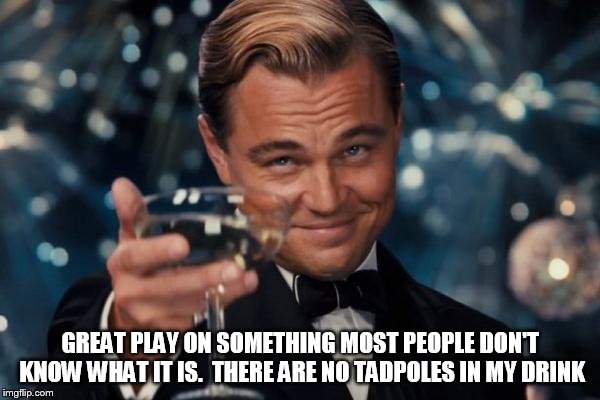 Leonardo Dicaprio Cheers Meme | GREAT PLAY ON SOMETHING MOST PEOPLE DON'T KNOW WHAT IT IS.  THERE ARE NO TADPOLES IN MY DRINK | image tagged in memes,leonardo dicaprio cheers | made w/ Imgflip meme maker