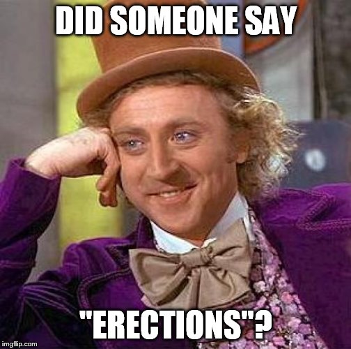 Creepy Condescending Wonka Meme | DID SOMEONE SAY "ERECTIONS"? | image tagged in memes,creepy condescending wonka | made w/ Imgflip meme maker