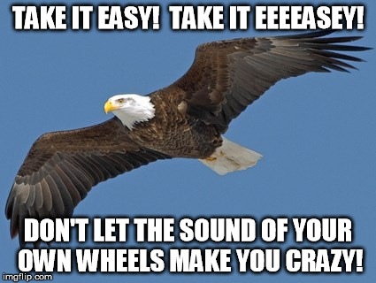 Get it?  The Eagles? | TAKE IT EASY!  TAKE IT EEEEASEY! DON'T LET THE SOUND OF YOUR OWN WHEELS MAKE YOU CRAZY! | image tagged in memes,classic,rock,music | made w/ Imgflip meme maker