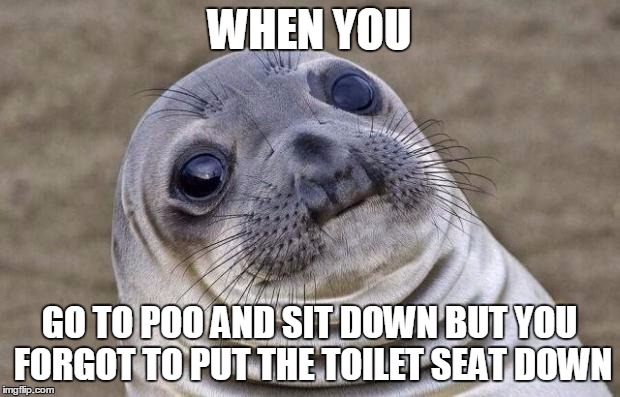 Awkward Moment Sealion | WHEN YOU; GO TO POO AND SIT DOWN BUT YOU FORGOT TO PUT THE TOILET SEAT DOWN | image tagged in memes,awkward moment sealion | made w/ Imgflip meme maker