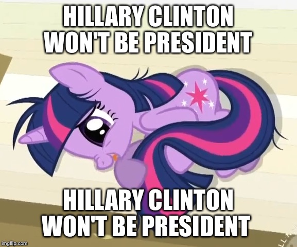 I'm losing my mind here  | HILLARY CLINTON WON'T BE PRESIDENT; HILLARY CLINTON WON'T BE PRESIDENT | image tagged in twilight sparkle,hillary clinton | made w/ Imgflip meme maker