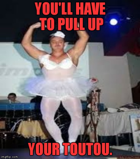 YOU'LL HAVE TO PULL UP YOUR TOUTOU. | made w/ Imgflip meme maker