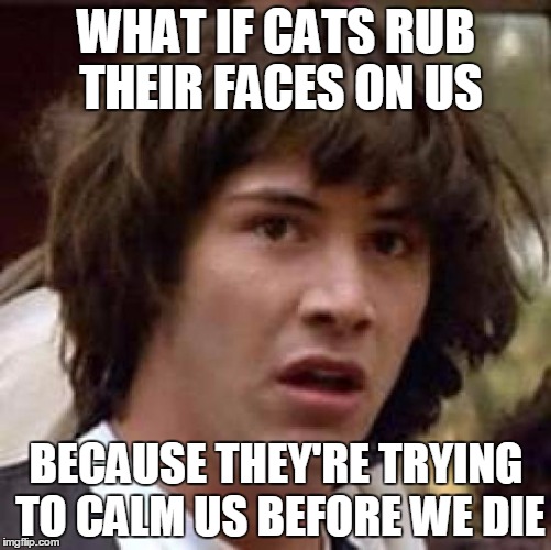 Conspiracy Keanu | WHAT IF CATS RUB THEIR FACES ON US; BECAUSE THEY'RE TRYING TO CALM US BEFORE WE DIE | image tagged in memes,conspiracy keanu | made w/ Imgflip meme maker