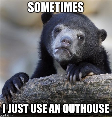 ONE DOES NOT ALWAYS USE THE WOODS | SOMETIMES; I JUST USE AN OUTHOUSE | image tagged in memes,confession bear | made w/ Imgflip meme maker