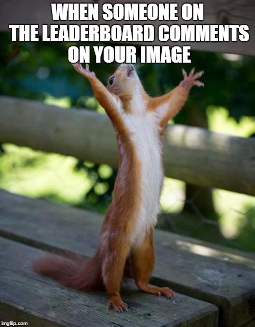 Happy Squirrel | WHEN SOMEONE ON THE LEADERBOARD COMMENTS ON YOUR IMAGE | image tagged in happy squirrel | made w/ Imgflip meme maker