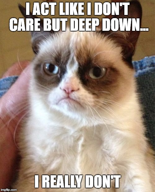 Grumpy Cat | I ACT LIKE I DON'T CARE BUT DEEP DOWN... I REALLY DON'T | image tagged in memes,grumpy cat | made w/ Imgflip meme maker