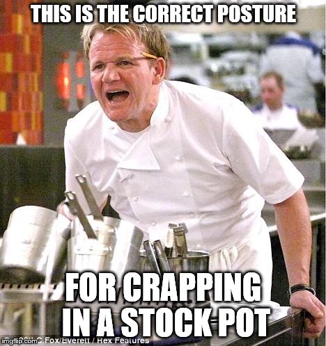 Chef Gordon Ramsay | THIS IS THE CORRECT POSTURE; FOR CRAPPING IN A STOCK POT | image tagged in memes,chef gordon ramsay | made w/ Imgflip meme maker