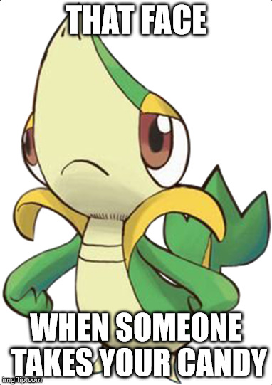Snivy meme | THAT FACE; WHEN SOMEONE TAKES YOUR CANDY | image tagged in snivy | made w/ Imgflip meme maker