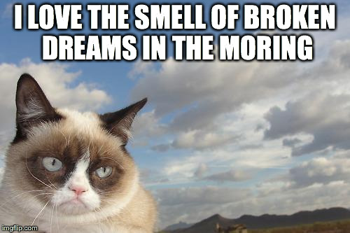 Grumpy Cat Sky Meme | I LOVE THE SMELL OF BROKEN DREAMS IN THE MORING | image tagged in memes,grumpy cat sky,grumpy cat | made w/ Imgflip meme maker