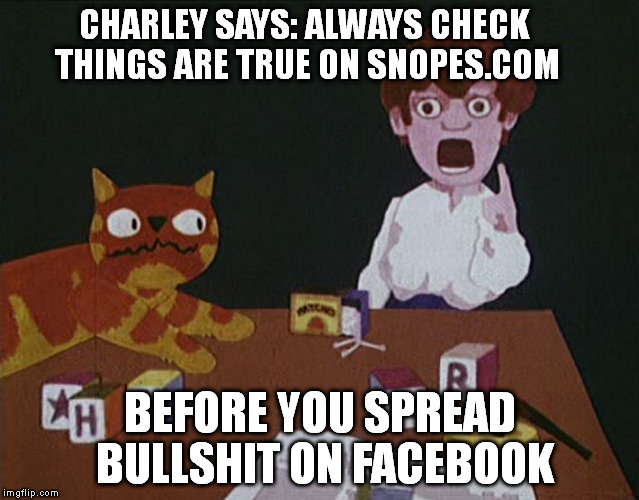 CHARLEY SAYS: ALWAYS CHECK THINGS ARE TRUE ON SNOPES.COM; BEFORE YOU SPREAD BULLSHIT ON FACEBOOK | image tagged in memes,facebook | made w/ Imgflip meme maker