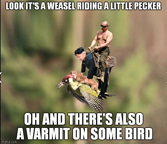 Broken Bad Mountain | LOOK IT'S A WEASEL RIDING A LITTLE PECKER; OH AND THERE'S ALSO A VARMIT ON SOME BIRD | image tagged in vladimir putin,kim jong un,weasel on woodpecker | made w/ Imgflip meme maker