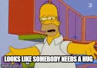 LOOKS LIKE SOMEBODY NEEDS A HUG | made w/ Imgflip meme maker