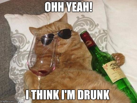 Funny Cat Birthday | OHH YEAH! I THINK I'M DRUNK | image tagged in funny cat birthday | made w/ Imgflip meme maker