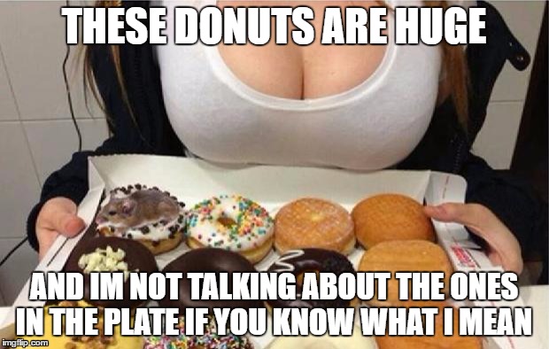 Oh Wow! Doughnuts! | THESE DONUTS ARE HUGE; AND IM NOT TALKING ABOUT THE ONES IN THE PLATE IF YOU KNOW WHAT I MEAN | image tagged in oh wow doughnuts | made w/ Imgflip meme maker