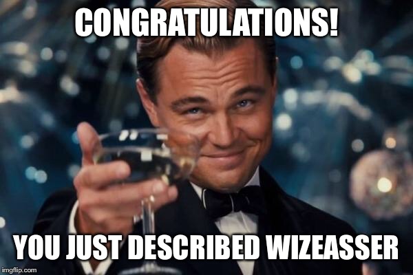 Leonardo Dicaprio Cheers Meme | CONGRATULATIONS! YOU JUST DESCRIBED WIZEASSER | image tagged in memes,leonardo dicaprio cheers | made w/ Imgflip meme maker
