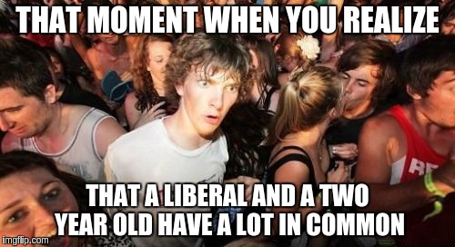 Sudden Clarity Clarence Meme | THAT MOMENT WHEN YOU REALIZE; THAT A LIBERAL AND A TWO YEAR OLD HAVE A LOT IN COMMON | image tagged in memes,sudden clarity clarence | made w/ Imgflip meme maker