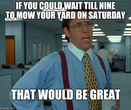 That Would Be Great | IF YOU COULD WAIT TILL NINE TO MOW YOUR YARD ON SATURDAY; THAT WOULD BE GREAT | image tagged in memes,that would be great | made w/ Imgflip meme maker