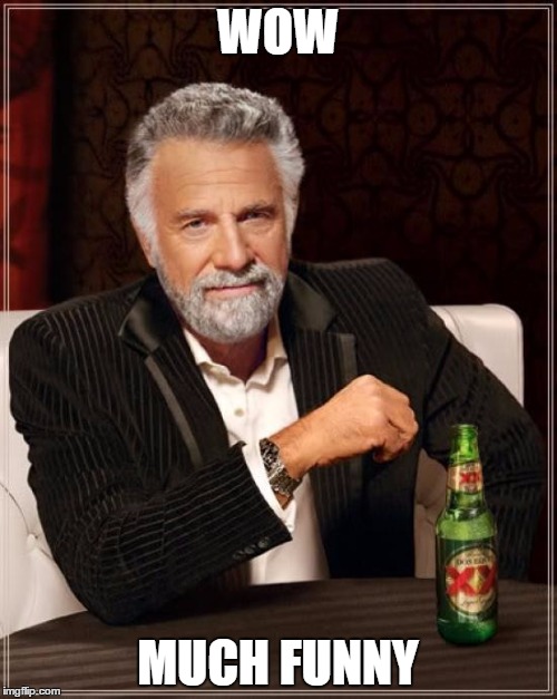 The Most Interesting Man In The World Meme | WOW MUCH FUNNY | image tagged in memes,the most interesting man in the world | made w/ Imgflip meme maker