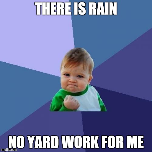 Success Kid | THERE IS RAIN; NO YARD WORK FOR ME | image tagged in memes,success kid | made w/ Imgflip meme maker