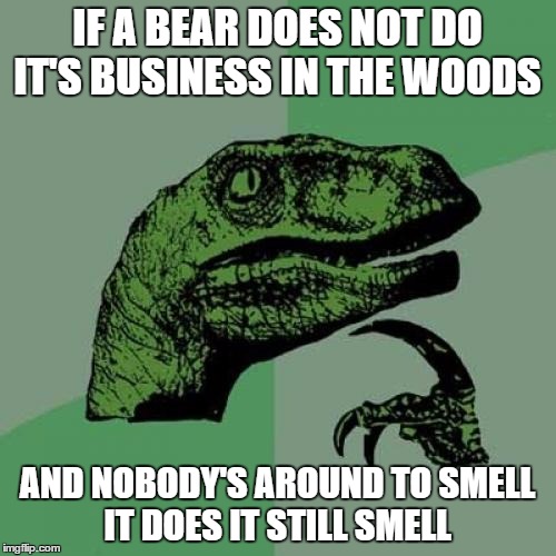 Philosoraptor Meme | IF A BEAR DOES NOT DO IT'S BUSINESS IN THE WOODS AND NOBODY'S AROUND TO SMELL IT DOES IT STILL SMELL | image tagged in memes,philosoraptor | made w/ Imgflip meme maker