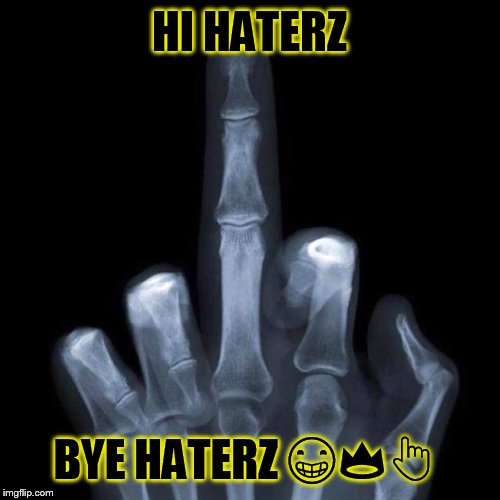 HI HATERZ; BYE HATERZ 😁👑👆 | image tagged in the bird | made w/ Imgflip meme maker
