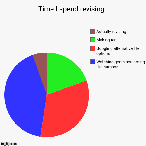 image tagged in funny,pie charts,exams,revision,university | made w/ Imgflip chart maker
