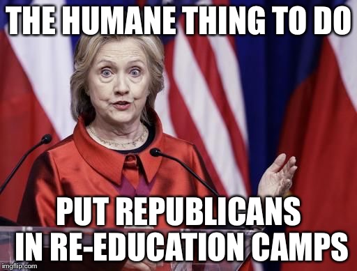 Surprised Hillary | THE HUMANE THING TO DO PUT REPUBLICANS IN RE-EDUCATION CAMPS | image tagged in surprised hillary | made w/ Imgflip meme maker