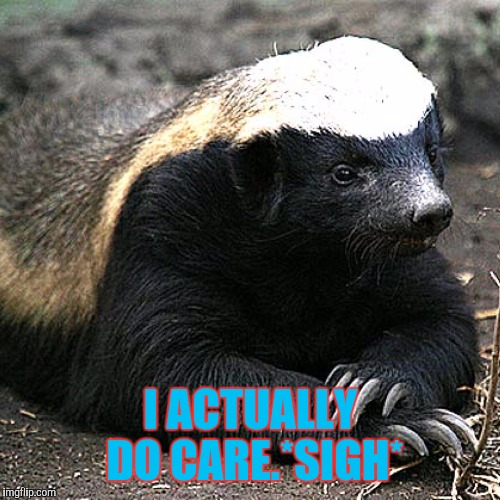 Honey Badger Cares | I ACTUALLY DO CARE.*SIGH* | image tagged in memes,honey badger | made w/ Imgflip meme maker