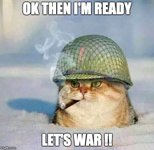 War Cat | OK THEN I'M READY; LET'S WAR !! | image tagged in war cat | made w/ Imgflip meme maker